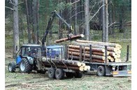Буковина є перспективною у розвитку сільського та лісового господарства - німецький економіст 