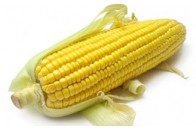 Українські виробники кукурудзи кращі за фермерів США та Канади