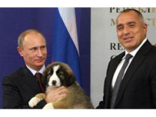 Путіну подарували собаку