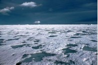 Площа льоду в Арктиці скоротилася до 30-річного мінімуму