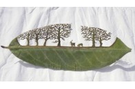 Іспанський художник вирізає на листях дерев малюнки.