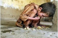 Мільйонам афганців загрожує голод