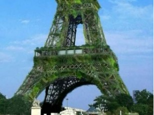 Головний символ Парижу пропонують перетворити на найвище в світі дерево