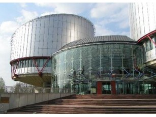 Лучанка відсудила в Європейському суді 20 тисяч євро
