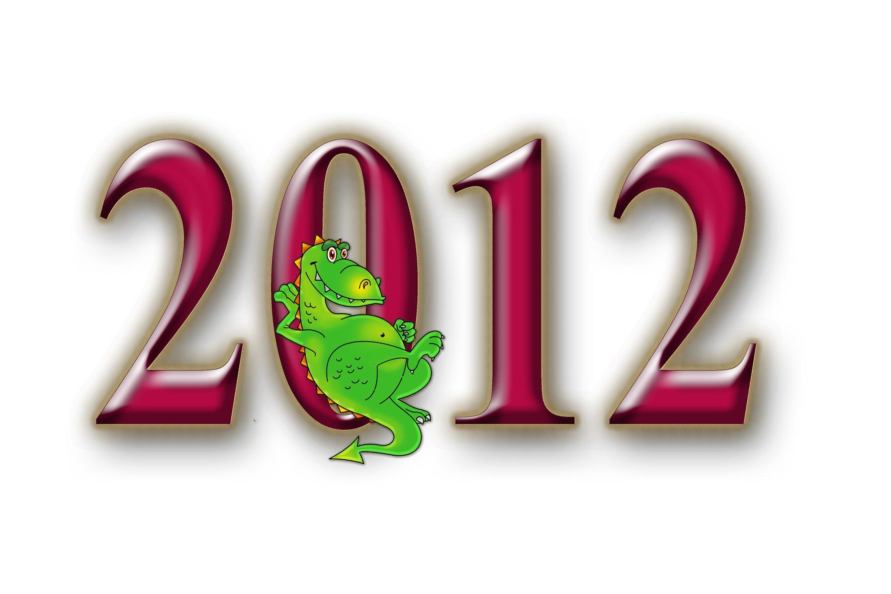 В чем встречать Новый Год 2012, чтобы заслужить расположение нового