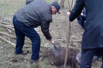 Мер Луцька з школярами та екологами висадили у центральному парку імені Лесі Українки близько 500 молодих дерев