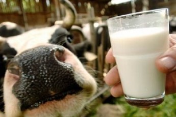 Клімчук звинуватив селян у низьких закупівельних цінах на молоко