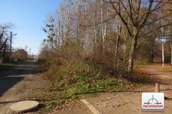 Лучани в шоці: частину парку ім. 900-річчя Луцька продали приватним особам