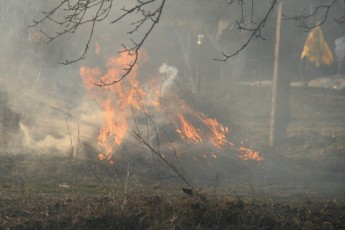 Романюк заборонив лучанам спалювати опале листя