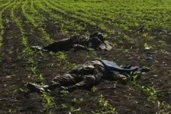 14 волинян загинуло на Сході від рук терористів