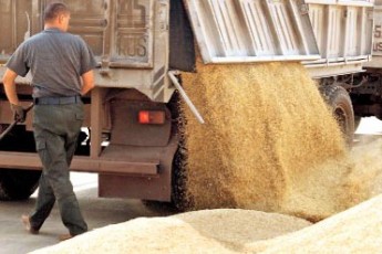 Волинський фермер через суд повернув своє зерно з Луцького хлібзаводу