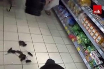 У супермаркеті Львова випустили мишей, протестуючи проти російських товарів ВІДЕО