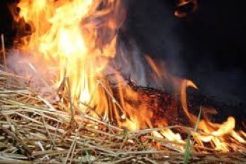 На Волині діти спалили 5 тонн сіна
