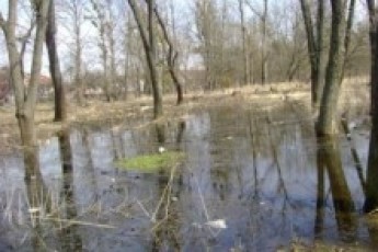 Мешканці Малоомелянівського масиву у Луцьку вже 20 років живуть без каналізації ВІДЕО