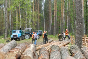 З «Маневицького лісового господарства» стягують півмільйона штрафних санкцій