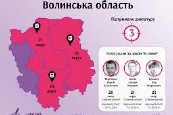 Депутати, які голосували за «диктаторські закони», потрапили до Ради: серед них й волиняни