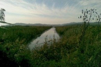 Меліоративні канали на Волині відновлять за мільйон євро
