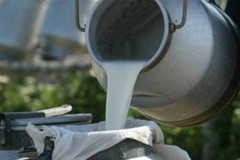 Заготівельники молочних підприємств Волині проігнорували нараду по цінах на молоко