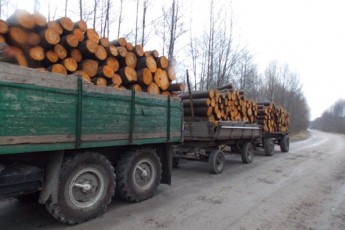 На Волині затримали ЗІЛ завантажений краденою деревиною ФОТО