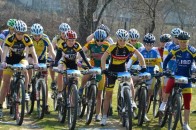 Луцькі велосипедисти серед кращих в Україні і в Європі