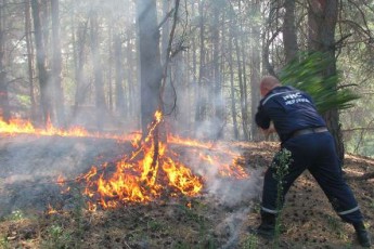 Під Києвом виникла масштабна пожежа: палає 10 гектарів лісу