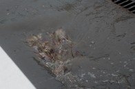 Затоплення у Луцьку: комунальники - не винні, а вода зійде сама?