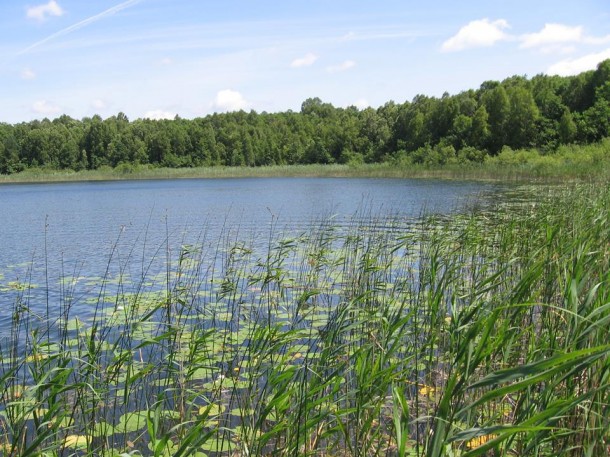 Неймовірні перлини Полісся: Мандрівка Волинськими озерами. ФОТО