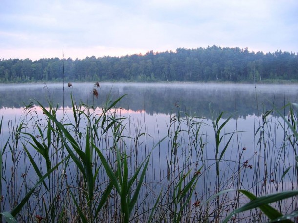 Неймовірні перлини Полісся: Мандрівка Волинськими озерами. ФОТО