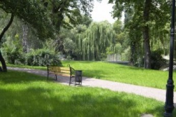 Лучани домоглися створення парку в зеленій зоні, яку хотіли віддати під комерційне будівництво