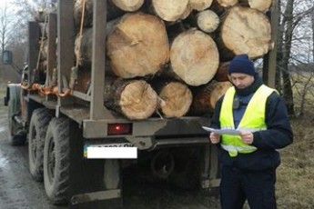 На Волині затримали дві вантажівки з лісом без документів. ФОТО