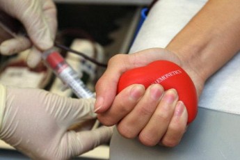 У Луцьку й Нововолинську терміново шукають донорів крові для дівчинки