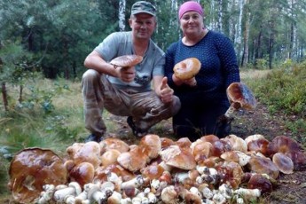 Подружжя з Любешівщини «накосило» стіжок грибів. ФОТО