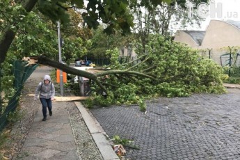 Ураган у Німеччині забрав життя сімох людей