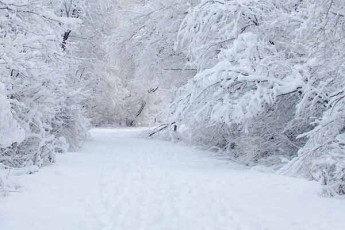 Зима близько: в Україні випав перший сніг