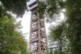 У Німеччині згоріла дотла оглядова вежа Гете