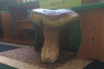 На Волині знайшли гігантського гриба