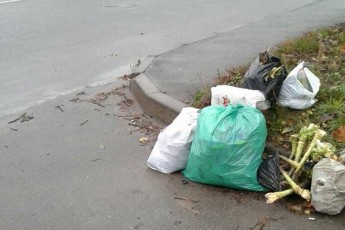 Лучани залишають сміття поблизу дороги