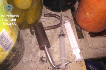 Вночі у підвалі Луцька затримали двох наркоманів зі зброєю