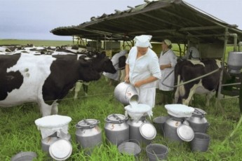 Як піднялися ціни на молочні продукти протягом року