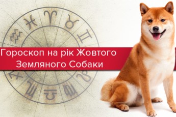 Гороскоп на 2018 рік Жовтого Собаки: чого очікувати всім знакам зодіаку