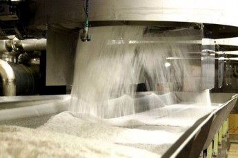 Цього сезону йдемо на рекорд як за кількістю переробленої сировини, так і за виробництвом цукру – Гнідавський цукровий завод
