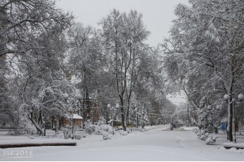 В Україну йде справжня зима: спочатку вріжуть морози, а потім повалить сніг