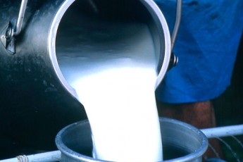 Закупівля молока у населення буде продовжуватися