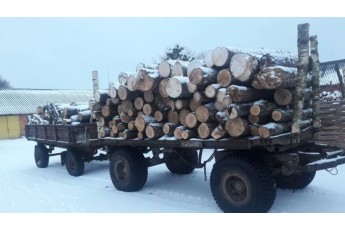 Сліди на снігу привели волинських лісівників до злодія деревини