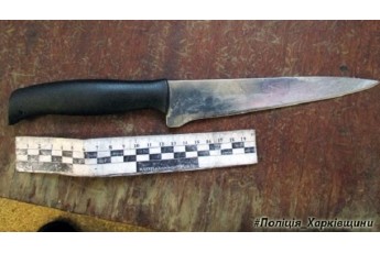 Чоловік з ножем напав на 11-річну дівчинку у Харкові
