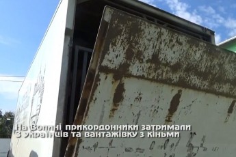 ТОП-5 незвичайних випадків контрабанди тварин в Україні