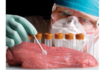 Розповіли, яке м’ясо найчастіше нашпиговують антибіотиками