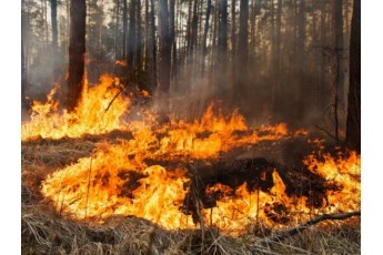 Протягом 25-26 квітня в Україні очікується найвищий рівень пожежонебезпеки