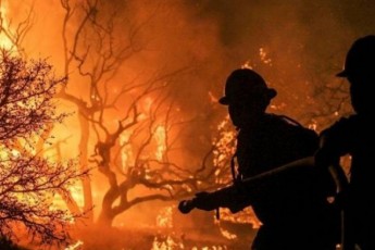 В Україні оголосили про пожежну небезпеку