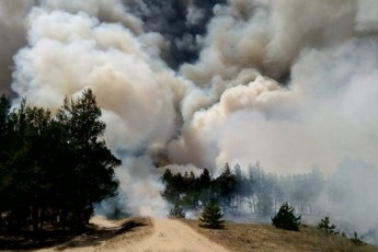 Масштабну лісову пожежу вдалося ліквідувати на Херсонщині